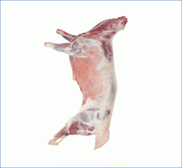 A Whole Goat (Mutton)- 19