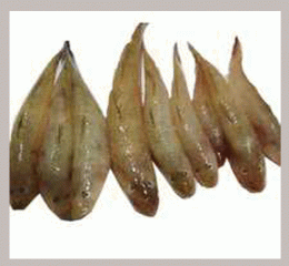 Baila Mach Small size( বাইলা মাছ )