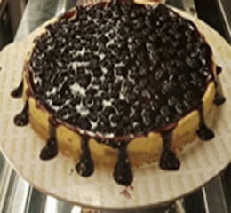 Blueberry Cheesecake