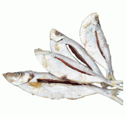 Faisha Shutki (ফাইশা শুঁটকি)