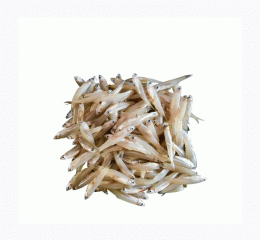 Kachki Mach ( কাচকি মাছ )